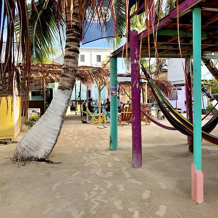 Tropical Oasis Ostello Caye Corker Esterno foto