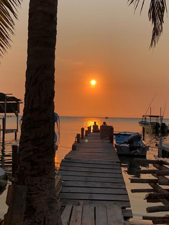 Tropical Oasis Ostello Caye Corker Esterno foto