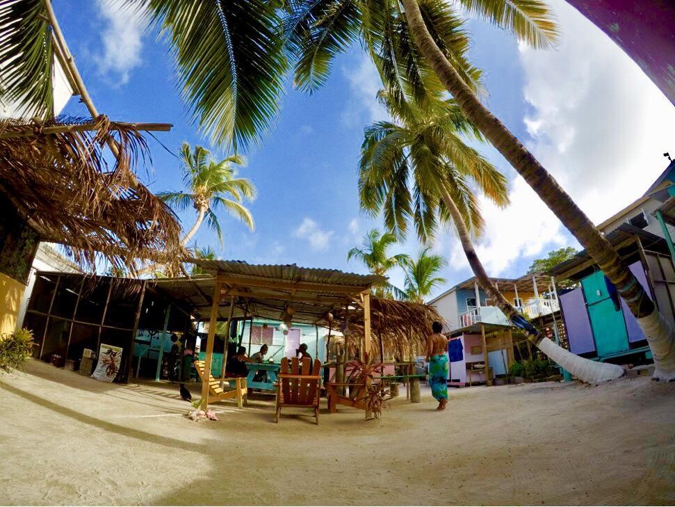 Tropical Oasis Ostello Caye Corker Esterno foto